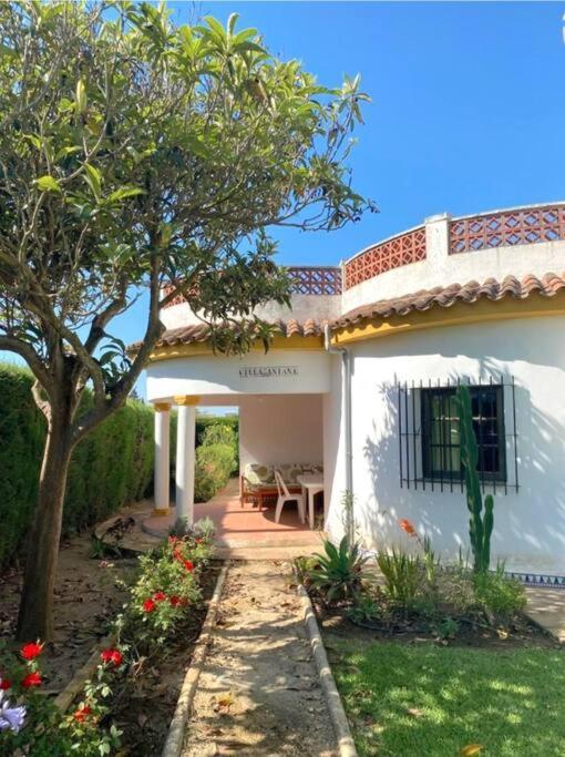 Tierra Del Sur Villa Conil De La Frontera Eksteriør bilde