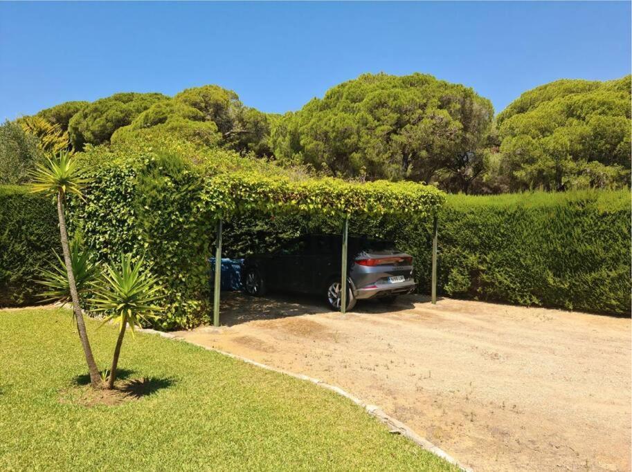 Tierra Del Sur Villa Conil De La Frontera Eksteriør bilde